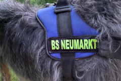 Tanja Pietz Mraz, Foto